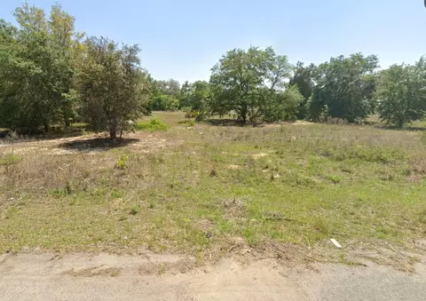 Bay Place Court, Ocklawaha, FL 32179