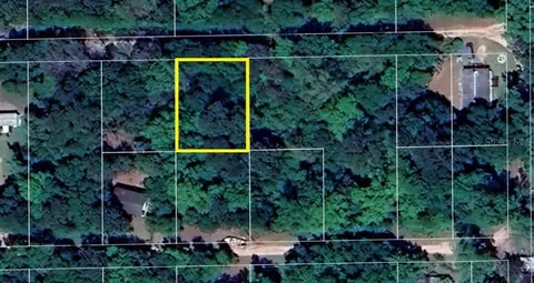 102 NE 37th Ln, Silver Springs, FL 34488