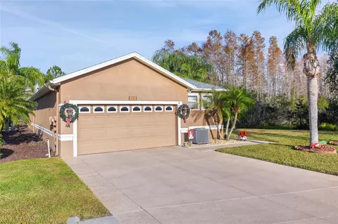 8432 Tarocco Ct, Land O Lakes, FL 34637