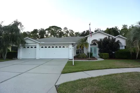 11247 Wedgemere Dr, Trinity, FL 34655