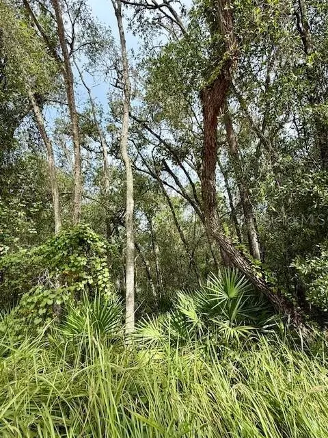 0 Gresham Rd, Webster, FL 33597 photo 16