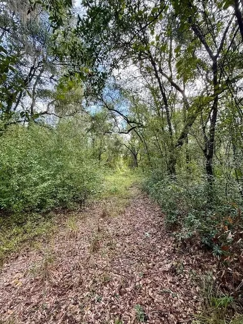 0 Gresham Rd, Webster, FL 33597 photo 13