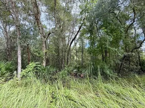 0 Gresham Rd, Webster, FL 33597 photo 18