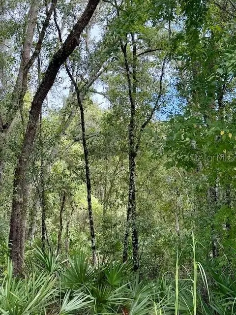 0 Gresham Rd, Webster, FL 33597 photo 17