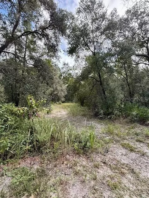 0 Gresham Rd, Webster, FL 33597 photo 11
