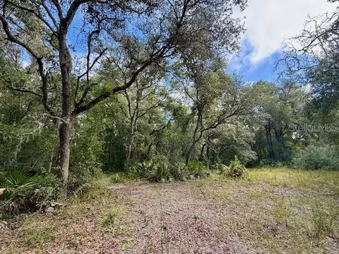 0 Gresham Rd, Webster, FL 33597