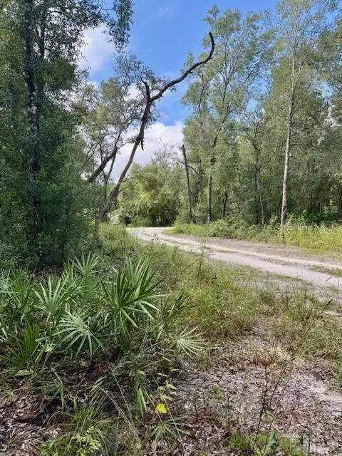 0 Gresham Rd, Webster, FL 33597 photo 3