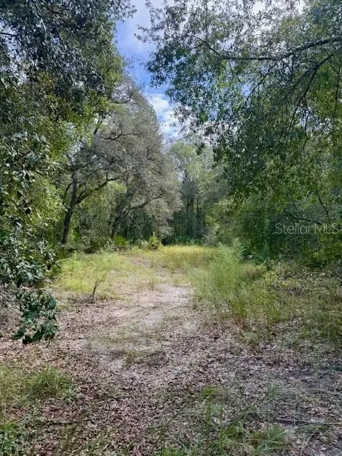 0 Gresham Rd, Webster, FL 33597 photo 2