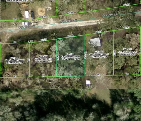 Tannahill Street, Dade City, FL 33523