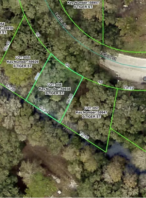3217 Tiger St, Dade City, FL 33523