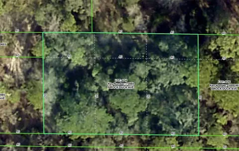 Rock Duck Avenue, Brooksville, FL 34614