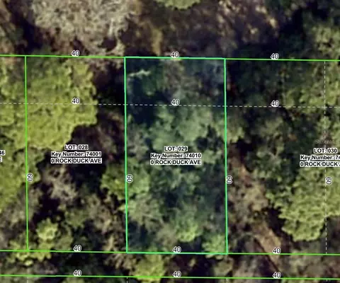 Rock Duck Avenue, Brooksville, FL 34614
