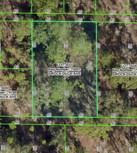 Rock Duck Avenue, Brooksville, FL 34614