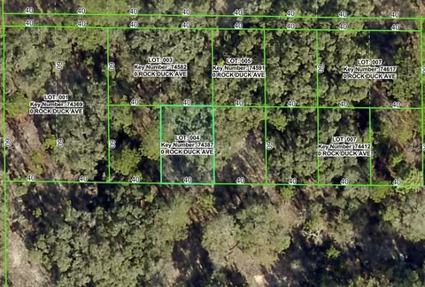 Rock Duck Avenue, Brooksville, FL 34614
