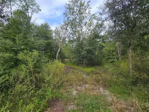 9125 Bigelow Ave, Webster, FL 33597