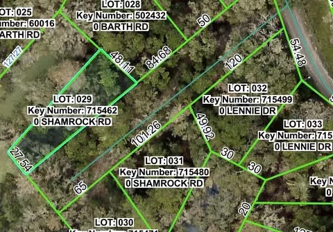 Shamrock Road, Dade City, FL 33523