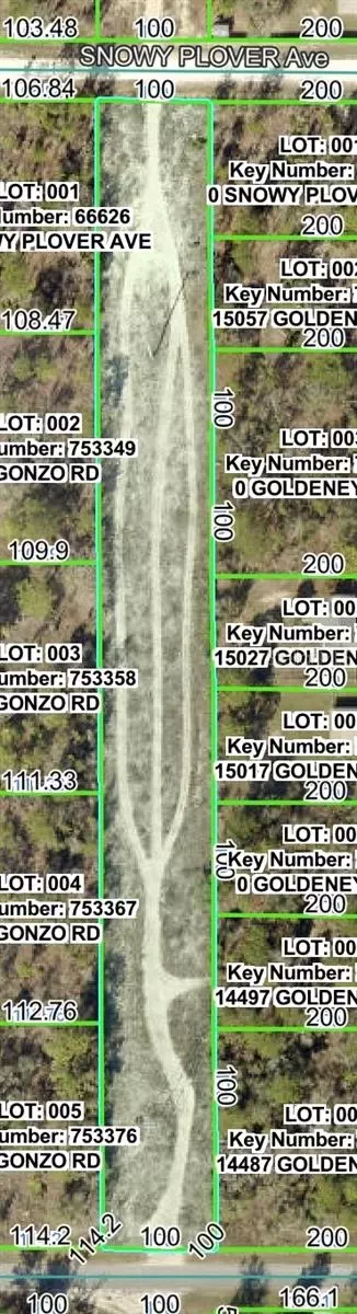 Quigley Avenue, Brooksville, FL 34614