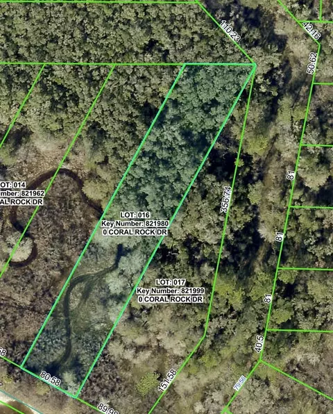 34063 Coral Rock Dr, Webster, FL 33597