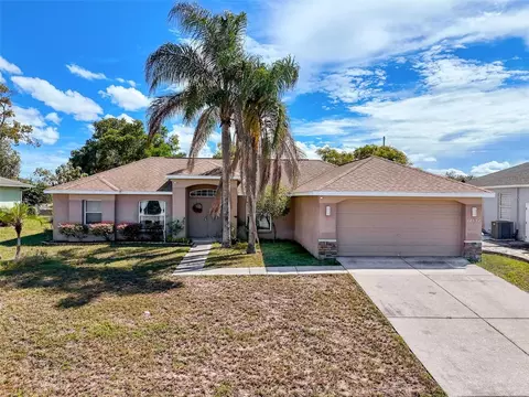 12552 Corrine Ave, Spring Hill, FL 34609