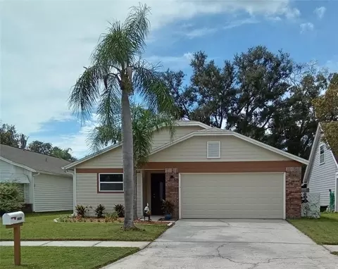11204 Elmfield Dr, Tampa, FL 33625
