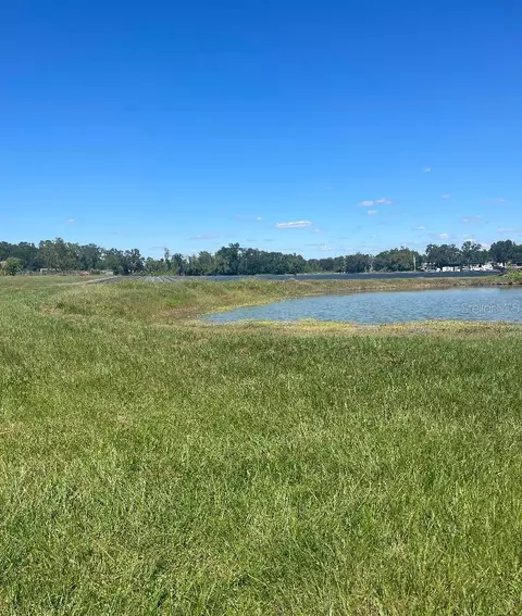 Sydney Road, Dover, FL 33527