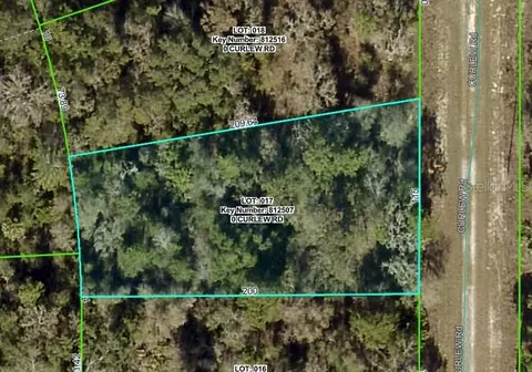 Curlew Road, Brooksville, FL 34614