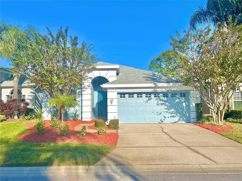 1130 Hominy Hill Dr, Trinity, FL 34655