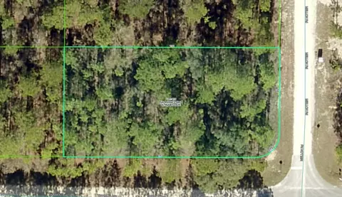 11269 Tinamou Ave, Brooksville, FL 34614