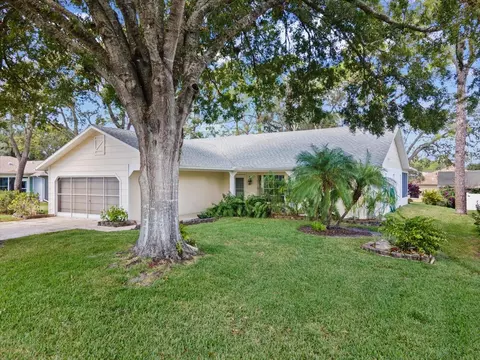 6393 Lost Tree Ln, Spring Hill, FL 34606