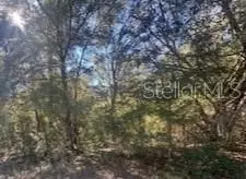 10014 N Athenia Dr, Citrus Springs, FL 34434