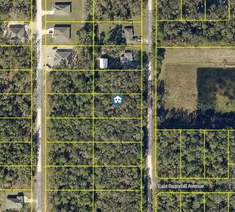 lot1021 Carolina Dove Rd, Weeki Wachee, FL 34614