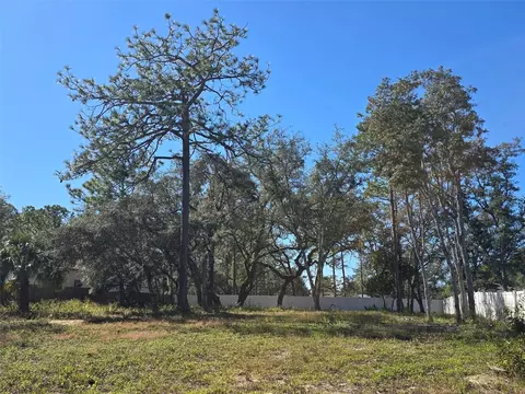 12437 Harris Hawk Rd, Weeki Wachee, FL 34614