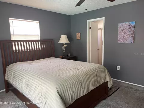 Bedroom - 6233 Hancock Ave, Spring Hill, FL 34608 photo 1 of 2