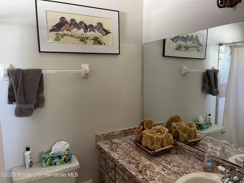 Bath - 6233 Hancock Ave, Spring Hill, FL 34608 photo 3 of 3