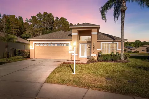 1201 Dustan Pl, Trinity, FL 34655
