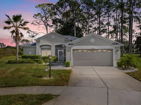 11802 Wayside Willow Ct, Hudson, FL 34667