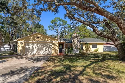 8291 Arab Ln, Spring Hill, FL 34608 photo 1