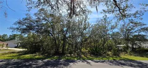 1 Buckeye Ct, Homosassa, FL 34446