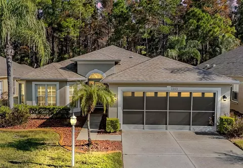 1143 Dustan Pl, Trinity, FL 34655