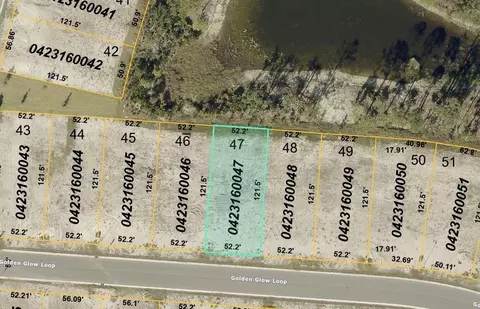 20021 Golden Glow Loop, Venice, FL 34292