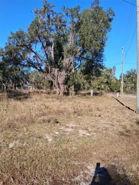 0 Long Cir, Webster, FL 33597 photo 7