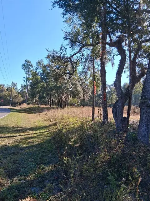 0 Long Cir, Webster, FL 33597 photo 6