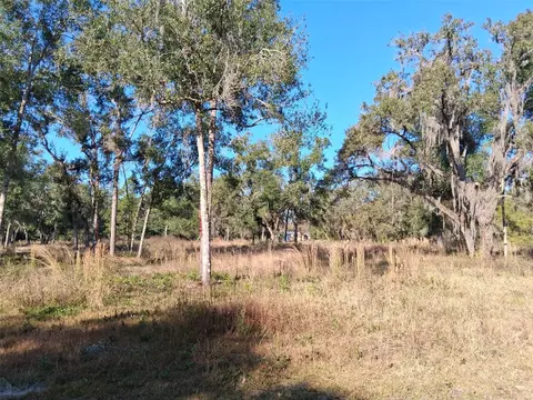 0 Long Cir, Webster, FL 33597 photo 3