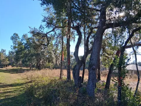0 Long Cir, Webster, FL 33597 photo 5