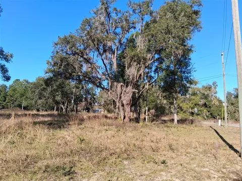 0 Long Cir, Webster, FL 33597 photo 2