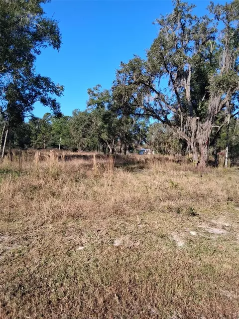 0 Long Cir, Webster, FL 33597 photo 4