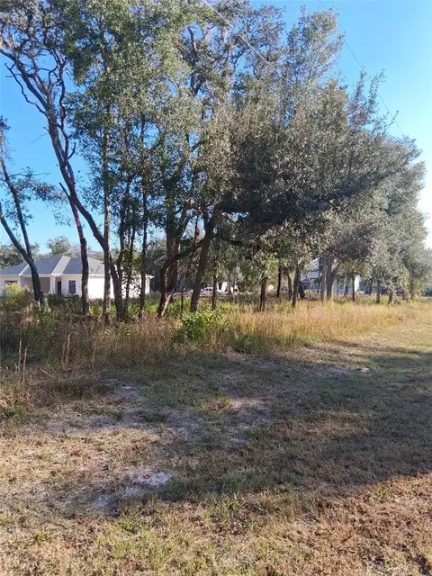 0 August Ave, Webster, FL 33597 photo 2