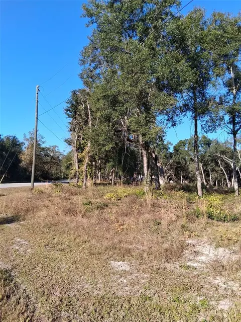 0 August Ave, Webster, FL 33597 photo 4