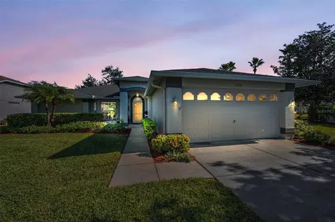 1136 Almondwood Dr, Trinity, FL 34655