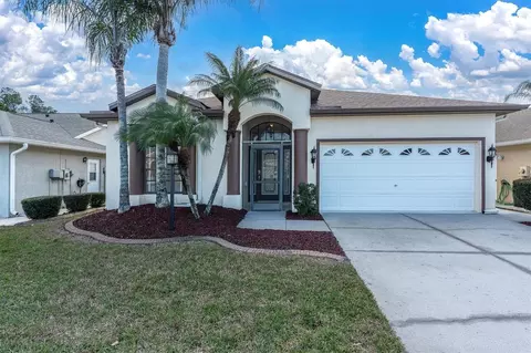 11520 Lounds Ct, New Port Richey, FL 34654